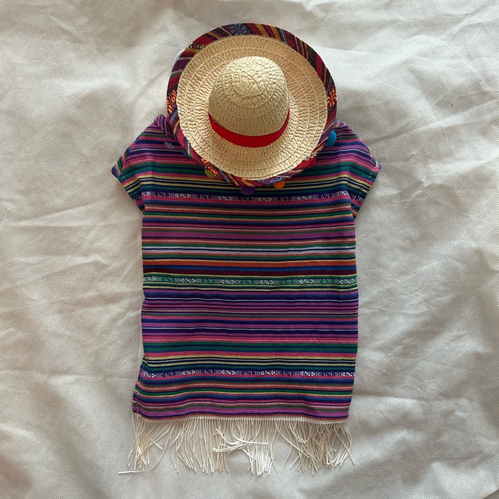 Doggy Poncho with Hat